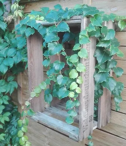 Paul Und Dorothea * Dollstadt